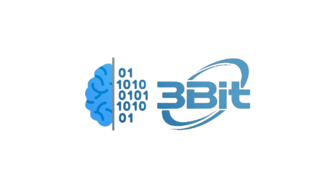 Binary Web Security Logo